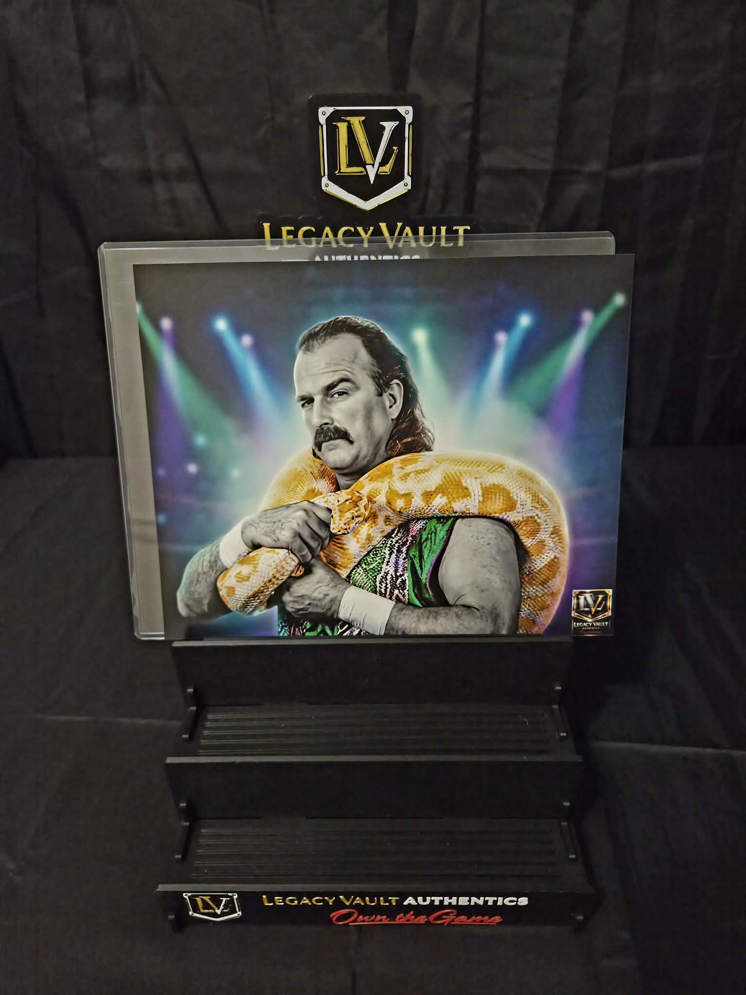 Jake the Snake Roberts Custom Art Photo – Limited Edition Vault Creation 8x10 Print WWE AEW TNA Wrestling NJPW Legend Hall of Fame