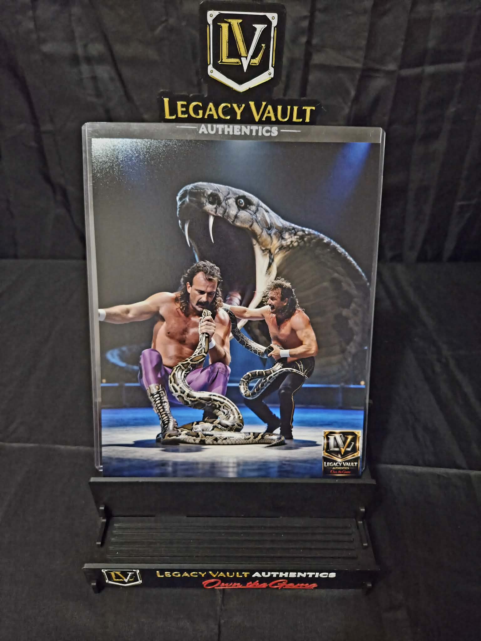 Jake the Snake Roberts Custom Art Photo – Limited Edition Vault Creation 8x10 Print WWE AEW TNA Wrestling NJPW Legend Hall of Fame