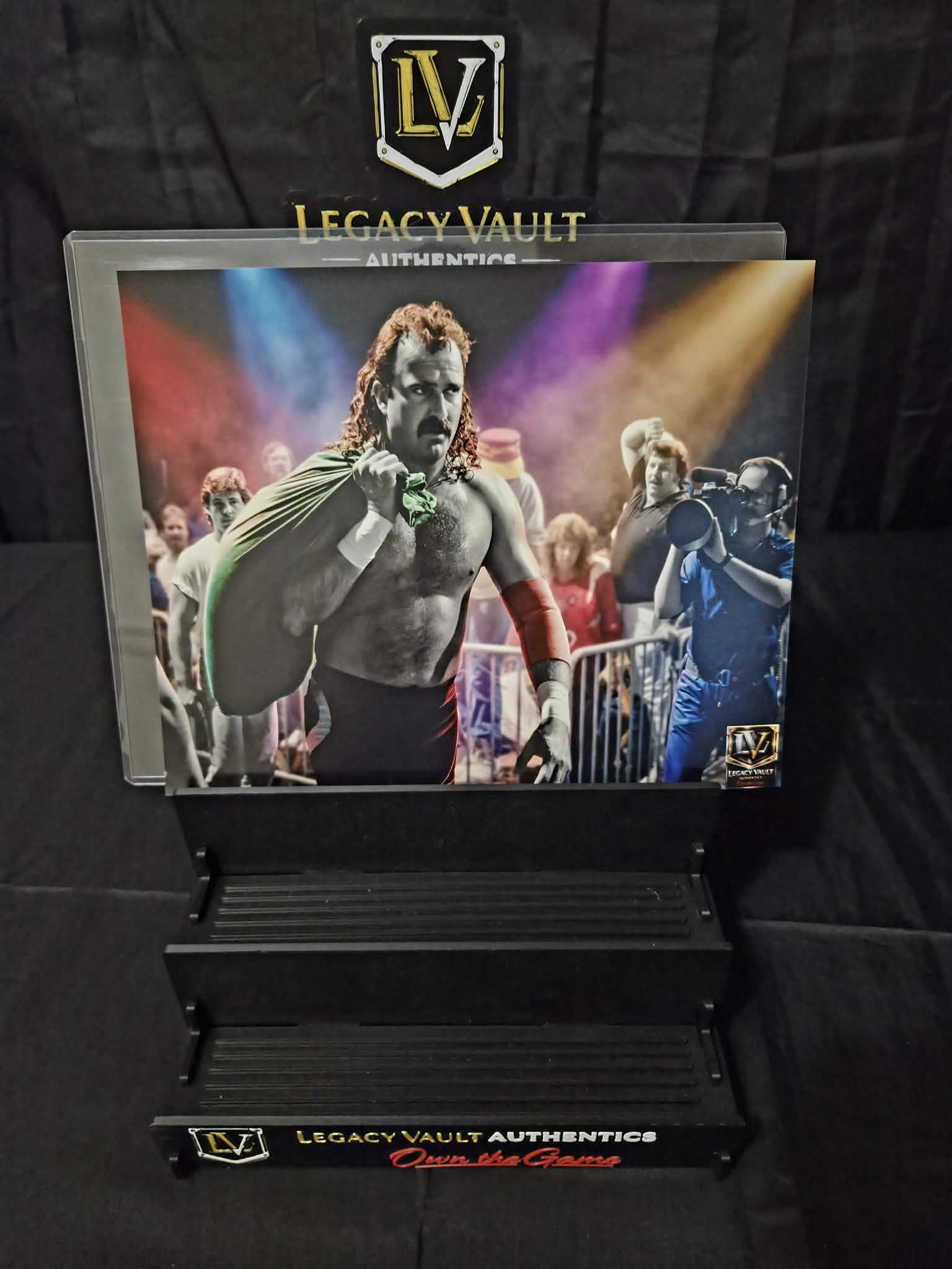 Jake the Snake Roberts Custom Art Photo – Limited Edition Vault Creation 8x10 Print WWE AEW TNA Wrestling NJPW Legend Hall of Fame