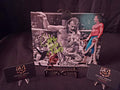 Jake the Snake Roberts Signed 8x10 Autographed AEW WWE Legend Hall of Fame
