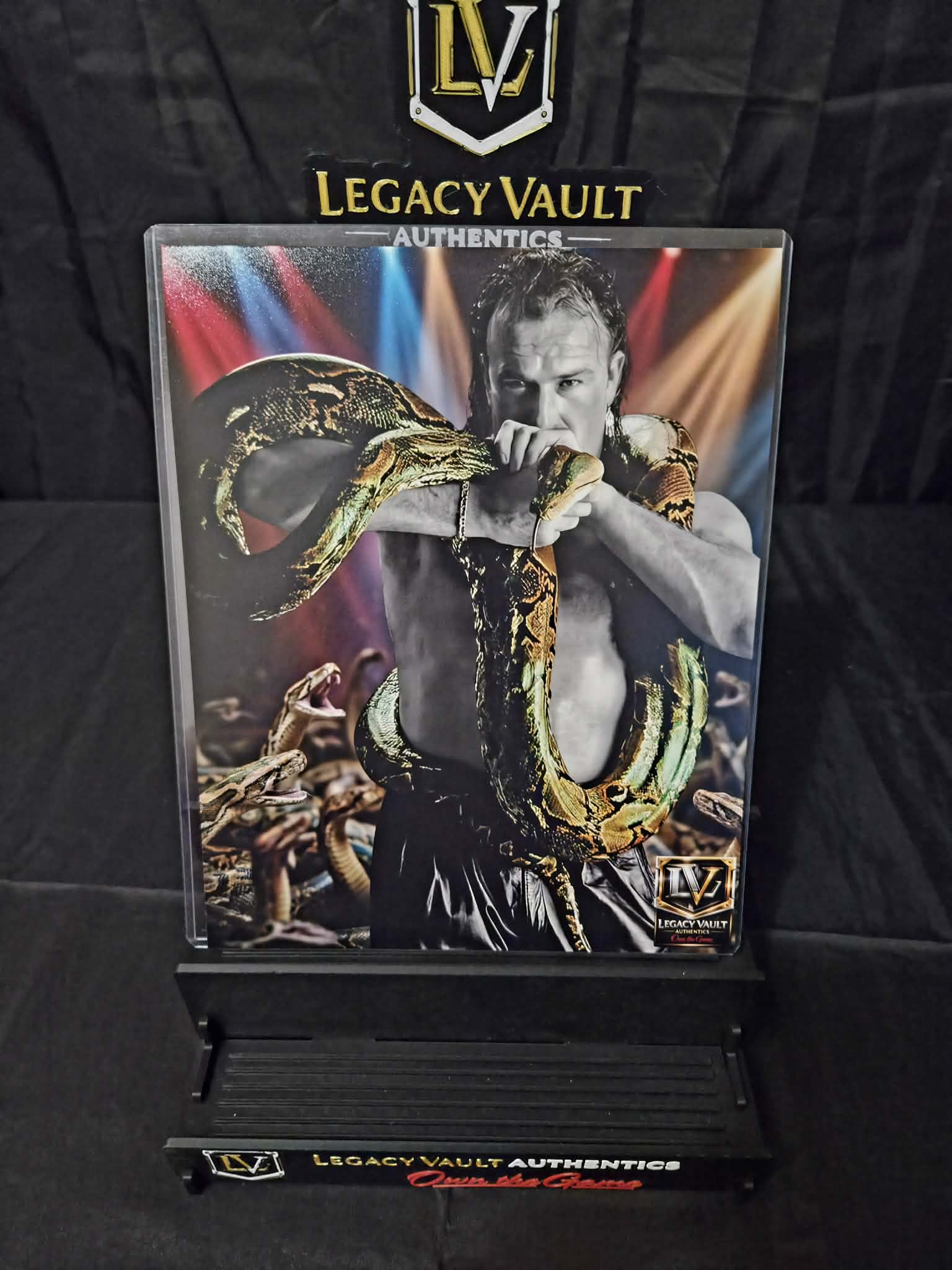Jake the Snake Roberts Custom Art Photo – Limited Edition Vault Creation 8x10 Print WWE AEW TNA Wrestling NJPW Legend Hall of Fame