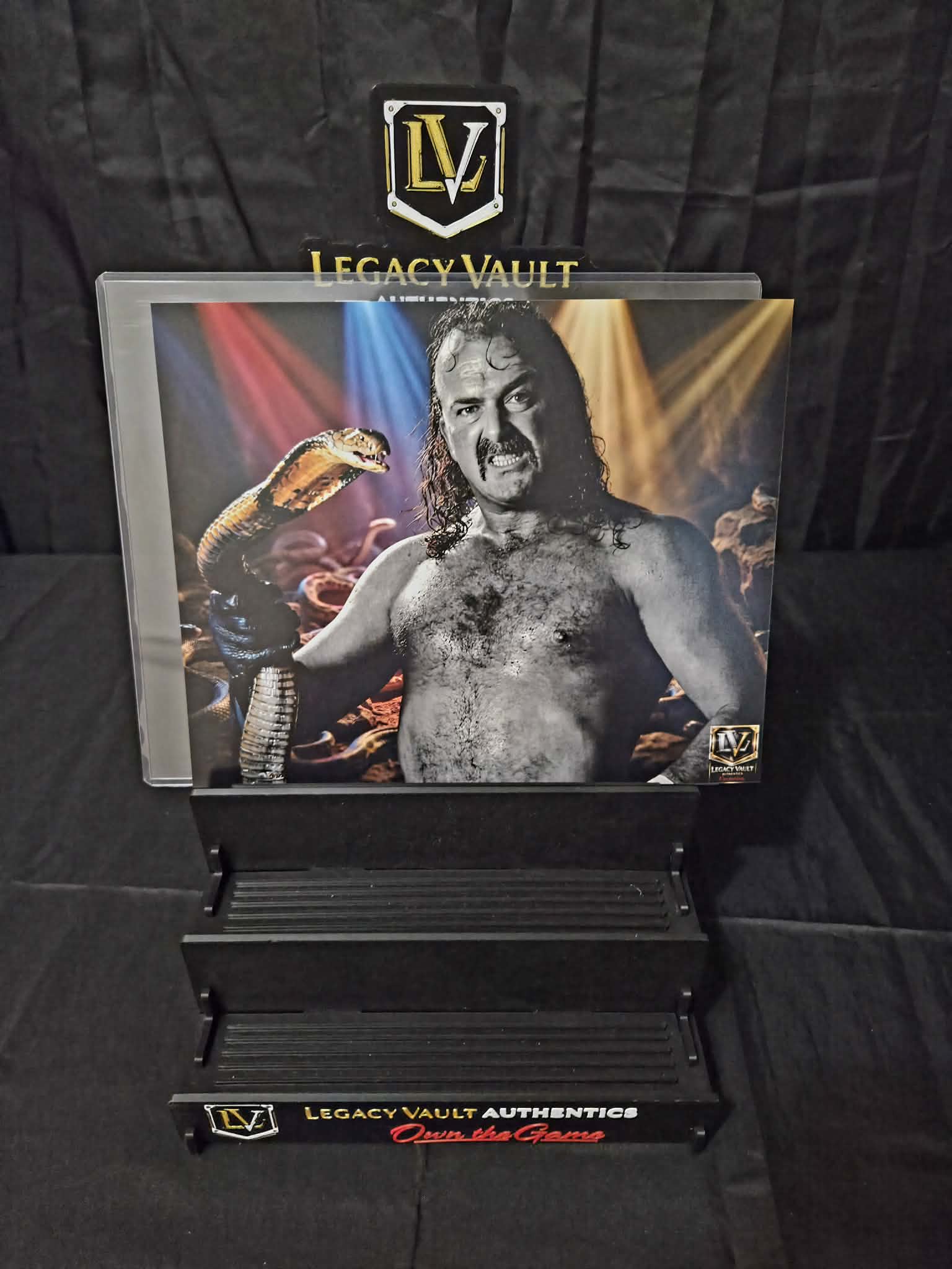 Jake the Snake Roberts Custom Art Photo – Limited Edition Vault Creation 8x10 Print WWE AEW TNA Wrestling NJPW Legend Hall of Fame