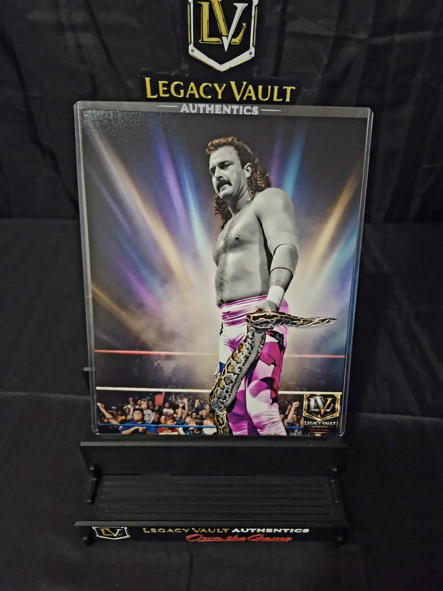 Jake the Snake Roberts Custom Art Photo – Limited Edition Vault Creation 8x10 Print WWE AEW TNA Wrestling NJPW Legend Hall of Fame