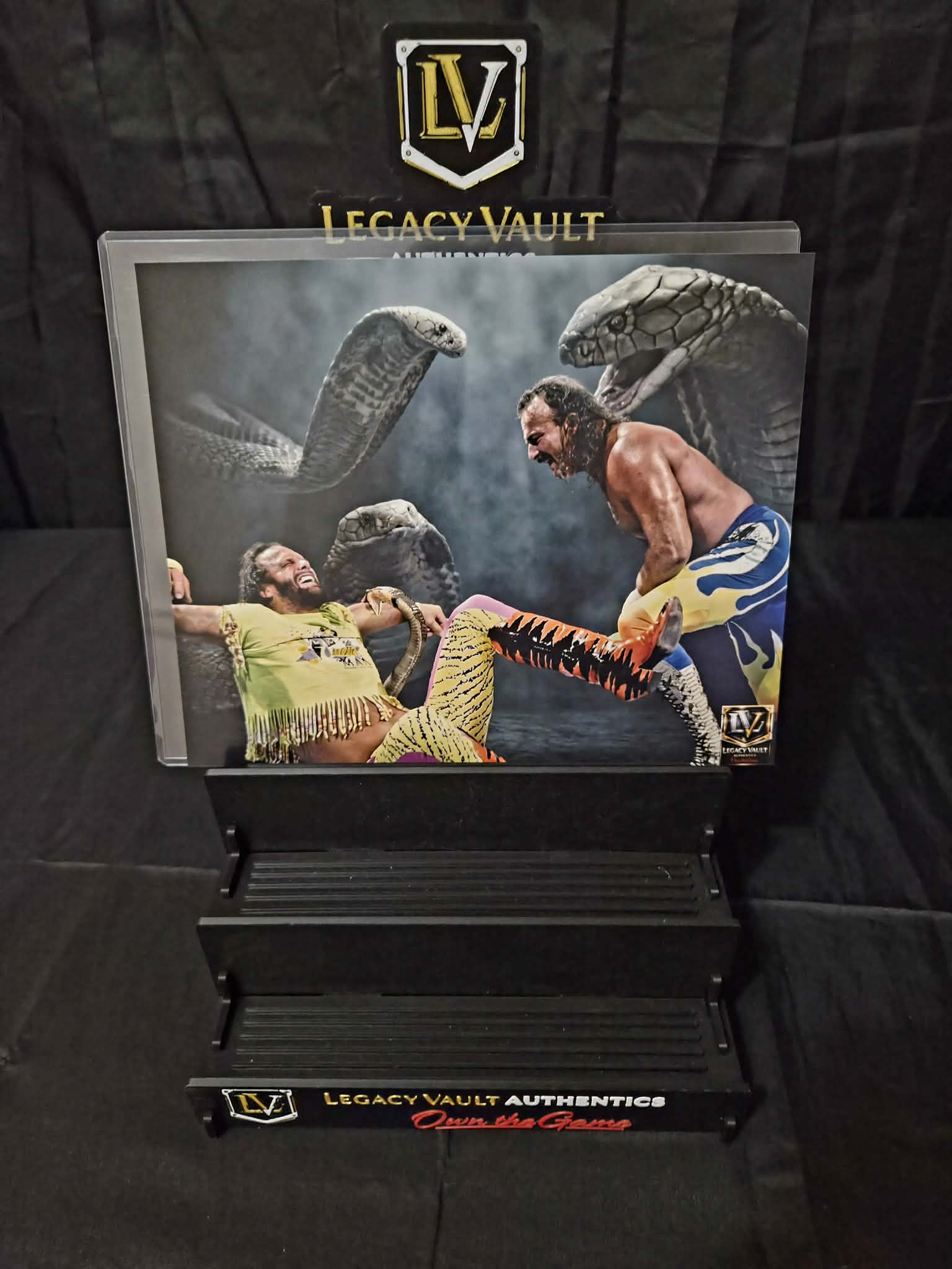 Jake the Snake Roberts Custom Art Photo – Limited Edition Vault Creation 8x10 Print WWE AEW TNA Wrestling NJPW Legend Hall of Fame